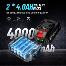 eesii Wireless Wet and Dry Vacuum Cleaner - Multi-Scene - Compact Body - 2pcs 4.0Ah Battery - Multi Professional Nozzles - 3-in-1 Brushless HEPA Filter - Car/ Garage/ Workplace Cleaning